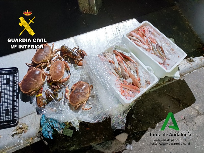 Imagen de La Guardia Civil interviene pescado y marisco no apto para consumo