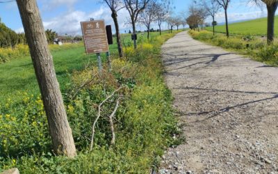 Imagen de El PSOE de Linares denuncia el estado preocupante de la Vía Verde de Linares: restos de poda sin recoger y uso de herbicidas sin notificación a usuarios