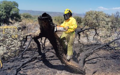 Imagen de El incendio de andujar queda controlado y se desactiva el nivel de preemergencia