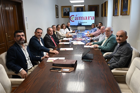 Caro-Accino explica al Pleno de la Cámara de Comercio las próximas acciones y proyectos previstos para impulsar el Parque Empresarial Santana