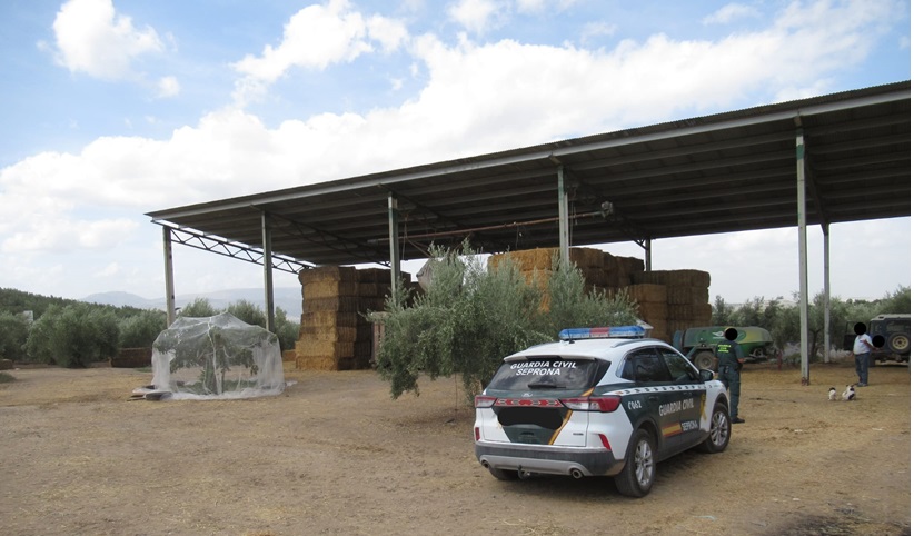 Imagen de La Guardia Civil investiga a los presuntos responsables de la muerte de caballos por ingesta de alimentos contaminados