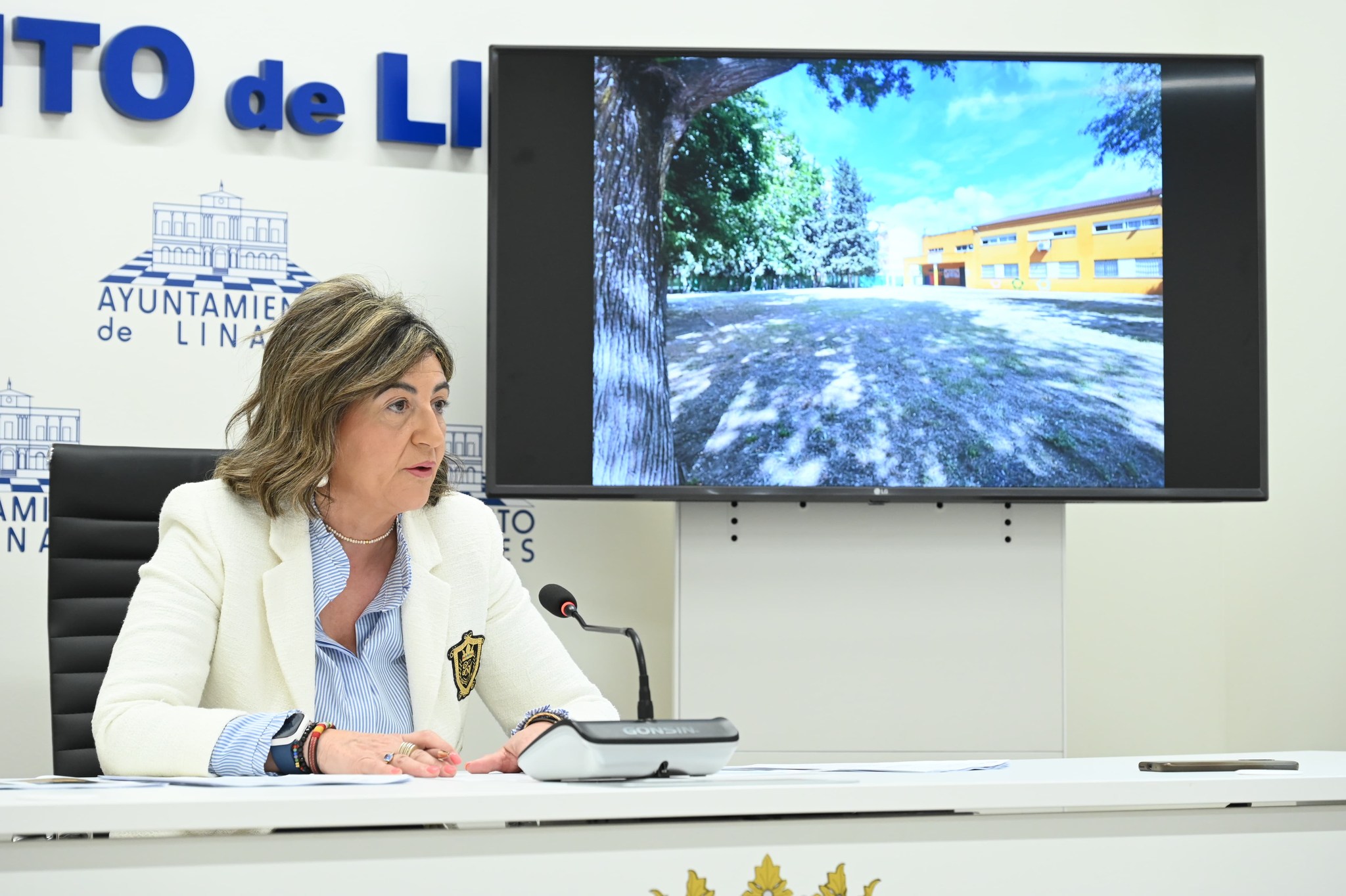 Imagen de La concejal de Educación pone en valor el trabajo realizado desde el Ayuntamiento para el mantenimiento de los colegios públicos de Linares.