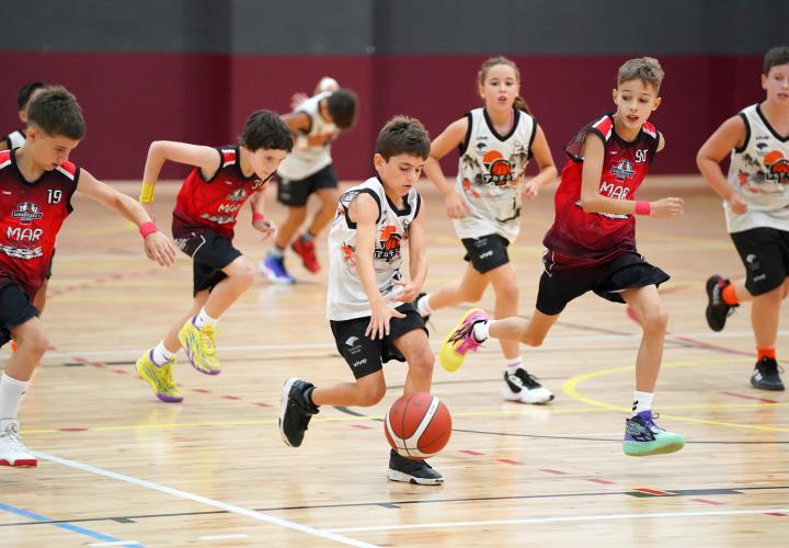 Imagen de El Futuro del Baloncesto Linarense Brilla en la VIII Copa de Andalucía Preminibasket!