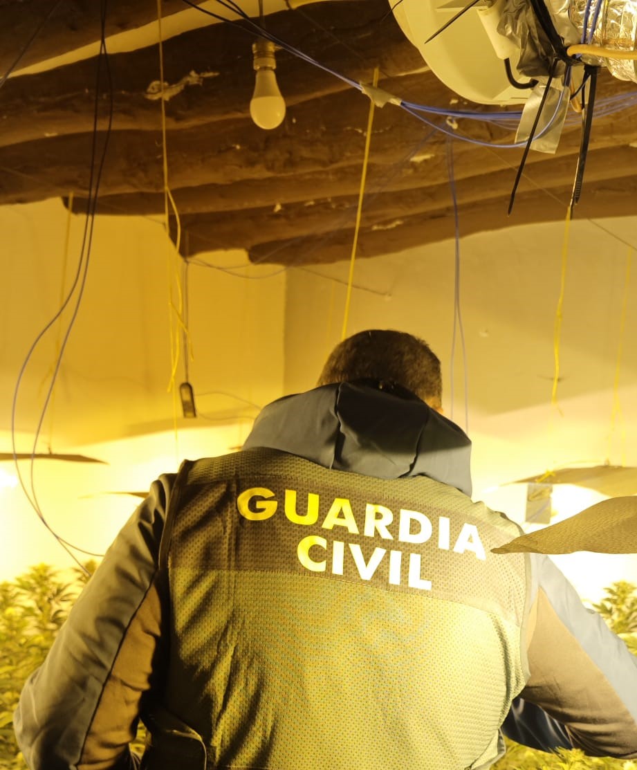 Imagen de La Guardia Civil desmantela una plantación de marihuana en una vivienda ocupada en La Carolina
