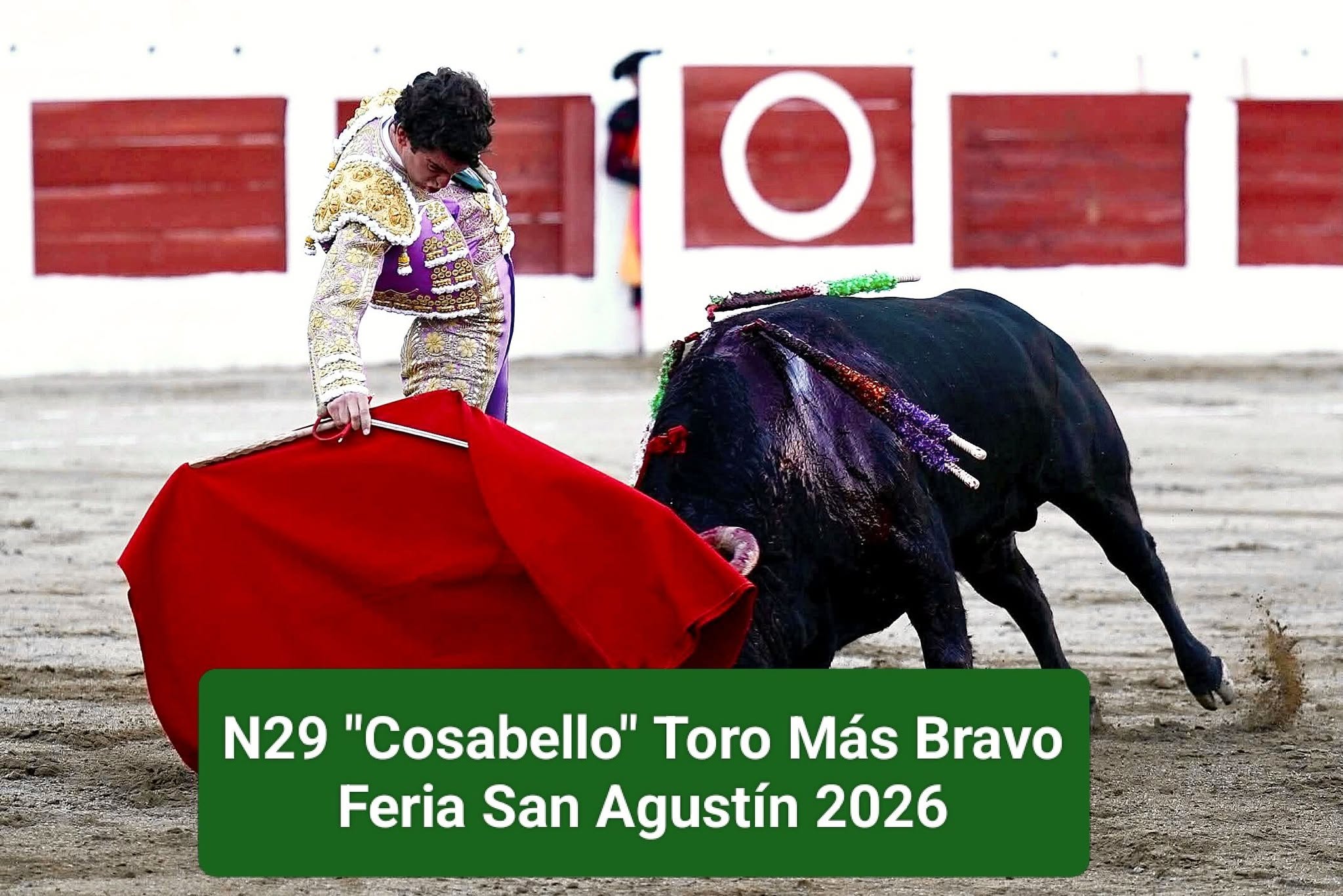 “Cosabello”, de Román Sorando, recibe por unanimidad el Trofeo al Toro Más Bravo de la Feria Taurina de Linares 2026
