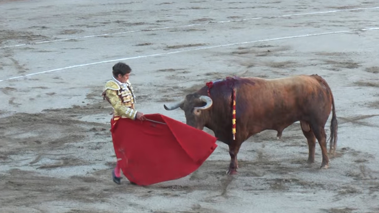 Imagen de David Gil, en la UCI tras una gravísima cornada en el cuello